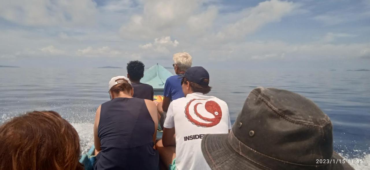 Arborek Diving Homestay R4 Besir ภายนอก รูปภาพ